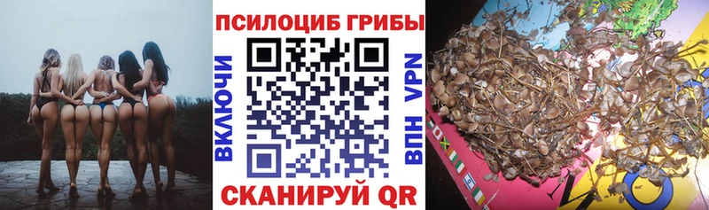Псилоцибиновые грибы Psilocybe  Дорогобуж 